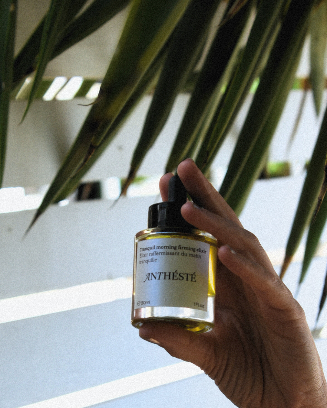 ANTHÉSTÉ - MINIMALIST LUXURY | HOLISTIC CARE