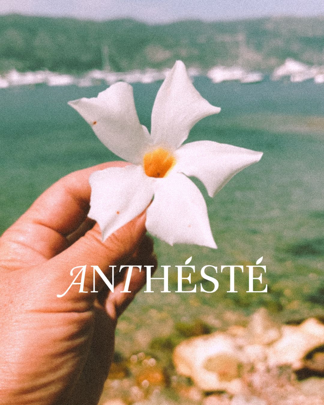 At ANTHÉSTÉ, we believe that every moment spent nurturing ourselves is an opportunity to reconnect with our essence and illuminate our inner beauty