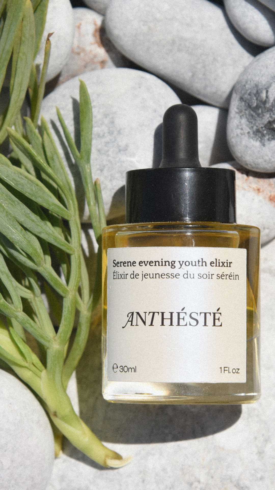 Meilleurs ingrédients et produits pour votre routine de soins de la peau anti-âge